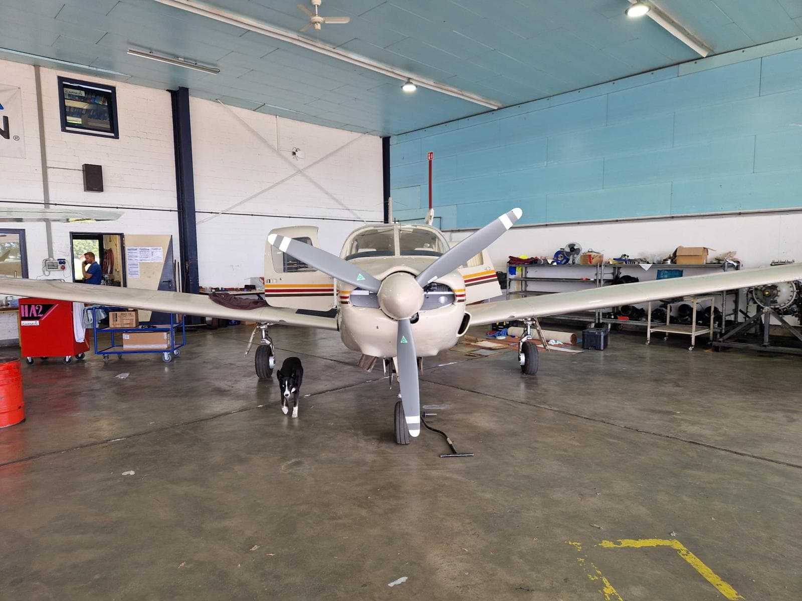 Piper PA-32R-301 Saratoga